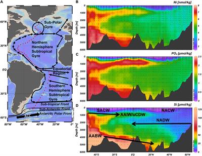 The Distribution of Nickel in the West-Atlantic Ocean, Its Relationship With Phosphate and a Comparison to Cadmium and Zinc